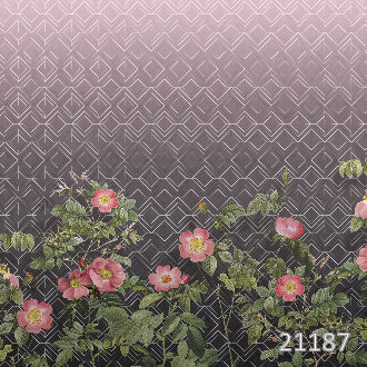 Pink flowers