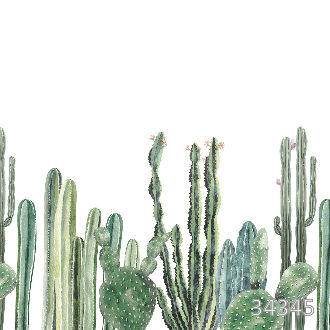 Сactus watercolor
